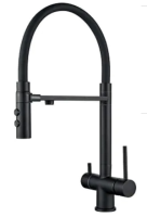 Смеситель для кухни ALOUTE A61213H-2 гибкий черный излив с подключением фильтра
