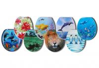 Сиденье для унитаза мягкое цветное с рисунком