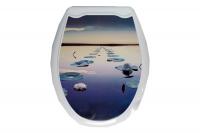 Сиденье для унитаза декор "КУВШИНКИ"