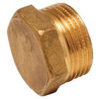 Заглушка латунная Ф1 НР 