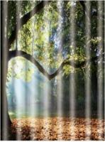 Шторка для ванной FRAP 8606 Осень